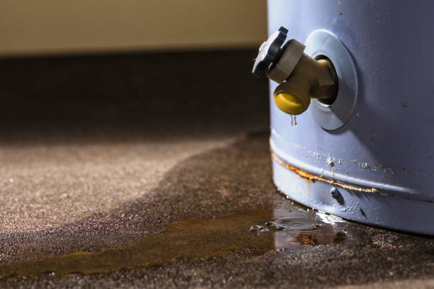 Best 24-hour water damage restoration  in Helena West Side, MT