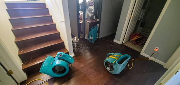 Best Sewage cleanup and water damage restoration  in Helena West Side, MT