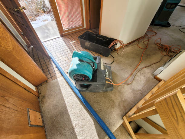 Best Water damage contractors near me  in Helena West Side, MT