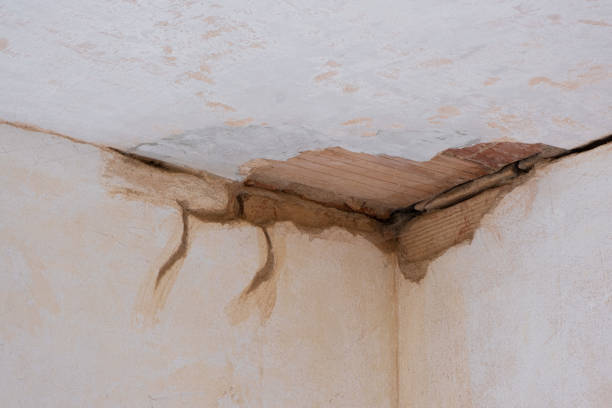 Best 24-hour water damage restoration  in Helena West Side, MT