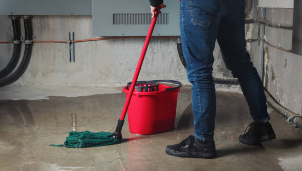 Best Sewage cleanup and water damage restoration  in Helena West Side, MT